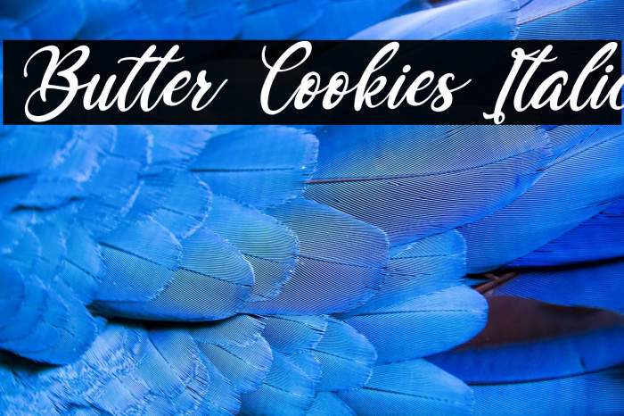 Butter Cookies Italic Example 1