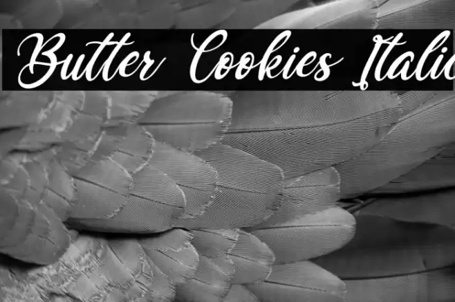 Butter Cookies Italic Font examples