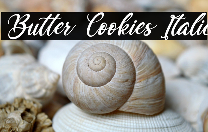 Butter Cookies Italic Example 2
