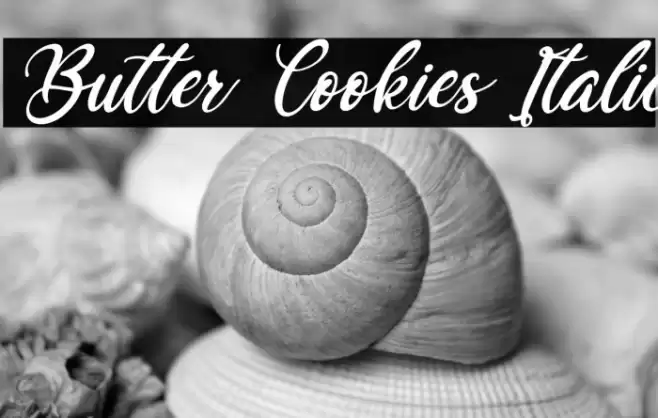 Butter Cookies Italic Font examples