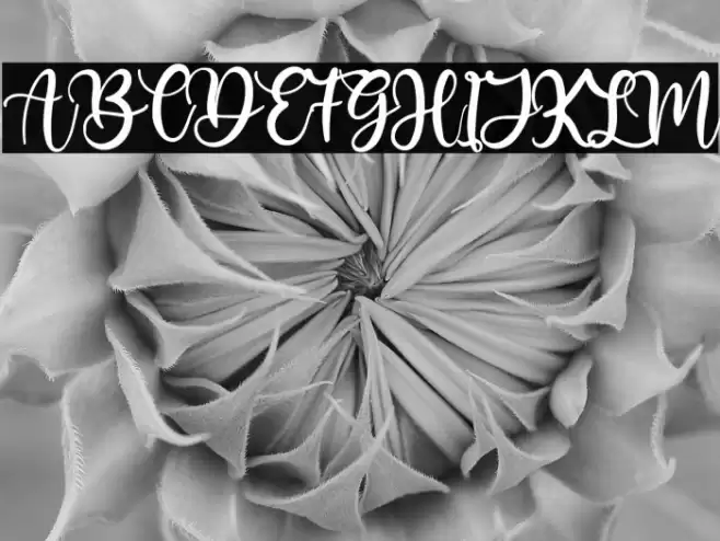 Butter Cookies Font examples