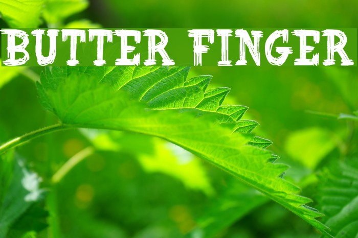 Butter Finger Font examples