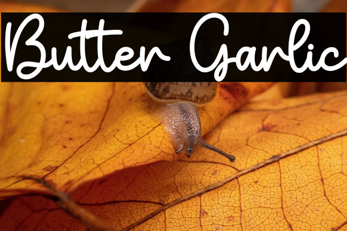 Butter Garlic Example 1