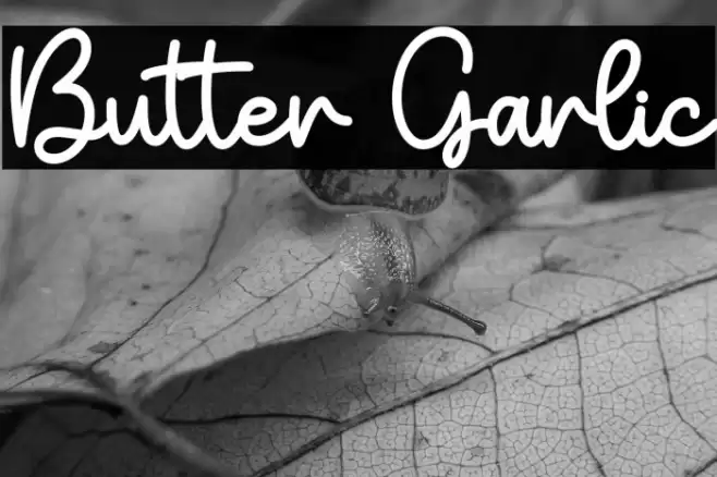 Butter Garlic Font examples