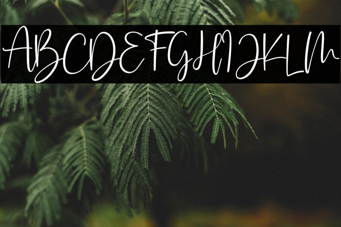 Butter Jelly Example 2