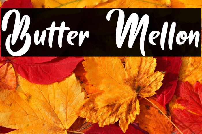 Butter Mellon Example 2