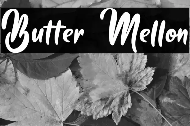 Butter Mellon Example 2