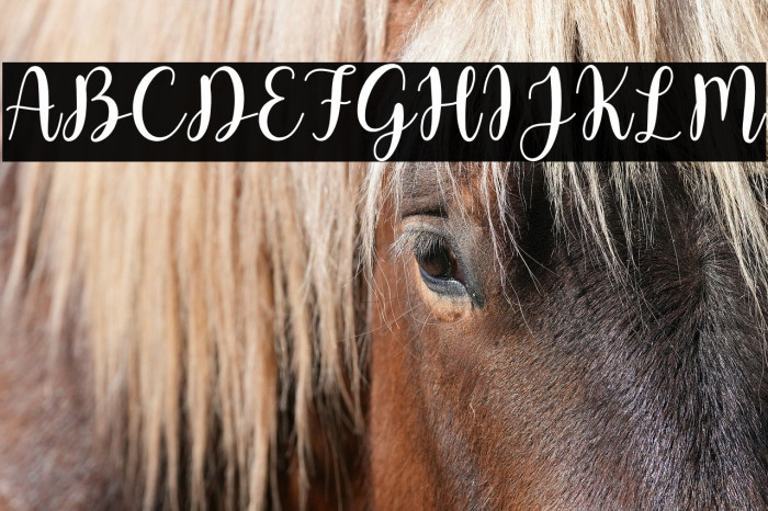 Butter Pastry Example 2