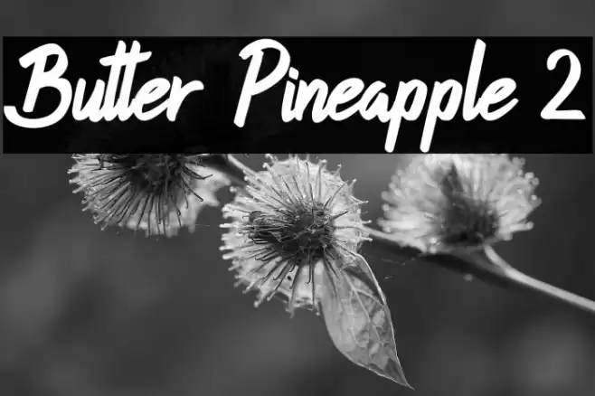 Butter Pineapple 2 Font examples