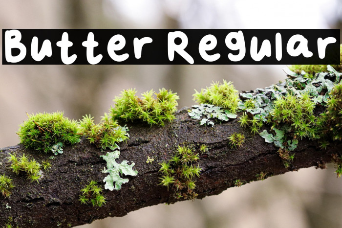 Butter Regular Example 1