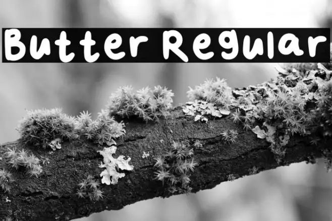 Butter Regular Example 1