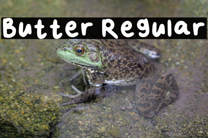 Butter Regular Example 2