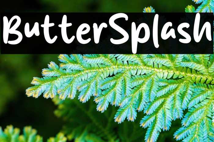 Butter Splash Example 1