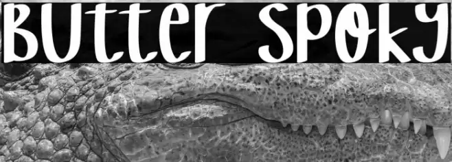 Butter Spoky Font examples