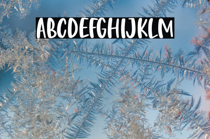 Butter Tropical Demo Version Example 2