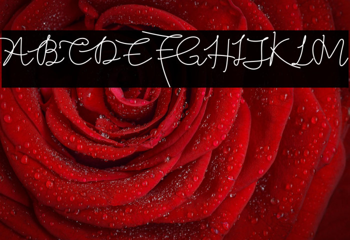 Butter West Demo Example 2