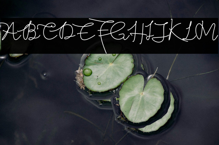 Butter West Font examples