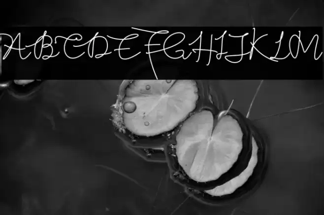 Butter West Font examples