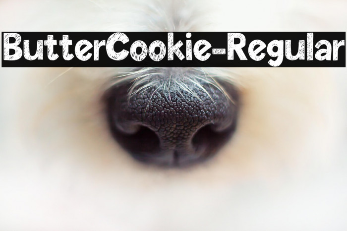ButterCookie-Regular Example 1