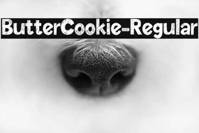 ButterCookie-Regular Example 1