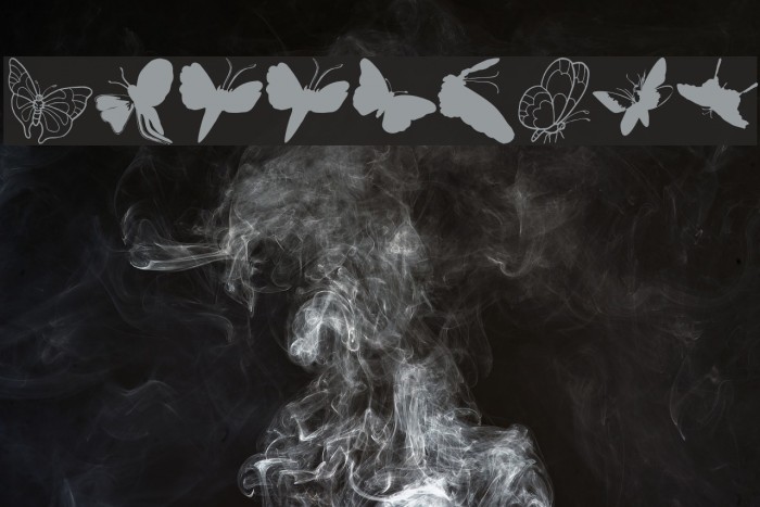 ButterFly Font examples