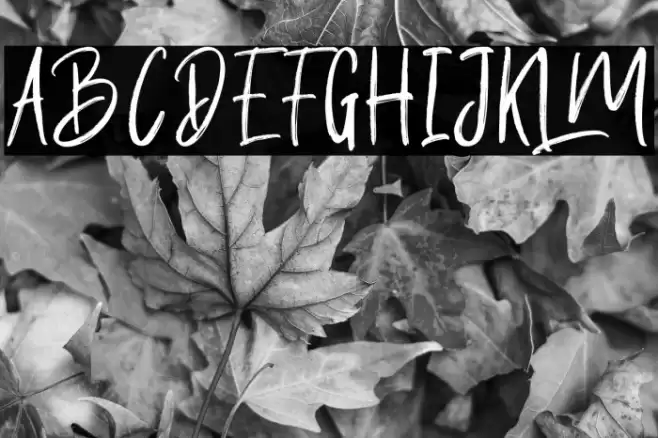 ButterLuchyFree Font examples
