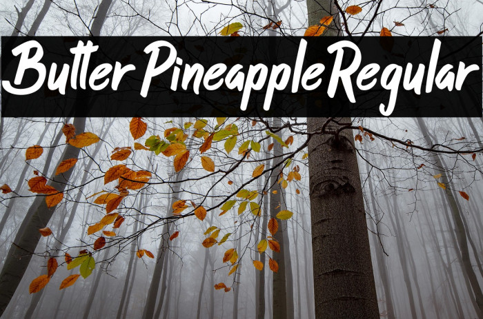 ButterPineappleRegular Example 2
