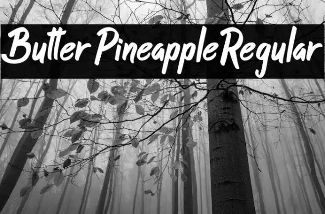 ButterPineappleRegular Example 2