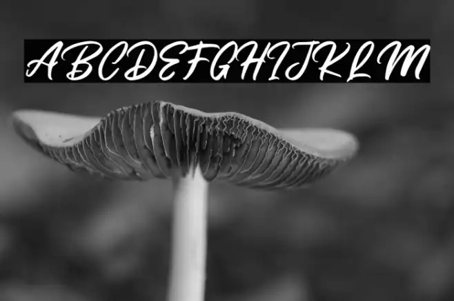 ButterSwanyFreePersonalUse Example 3