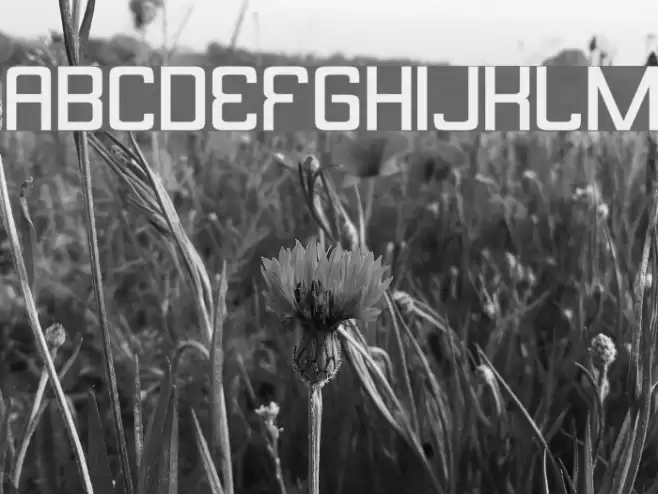 Butterbelly Font examples