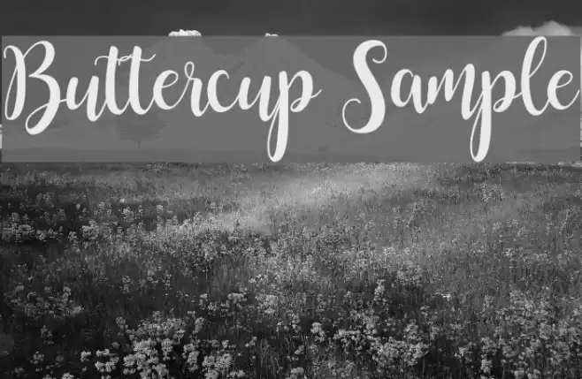 Buttercup Sample Font examples