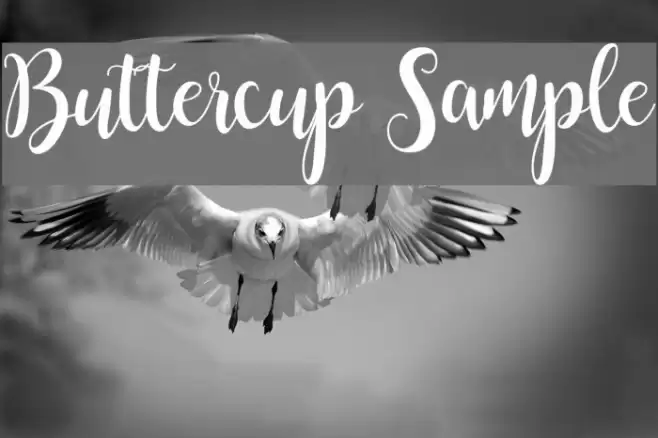 Buttercup Sample Font examples
