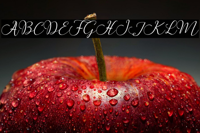 ButtercupScript Example 1