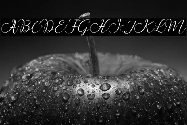 ButtercupScript Font examples