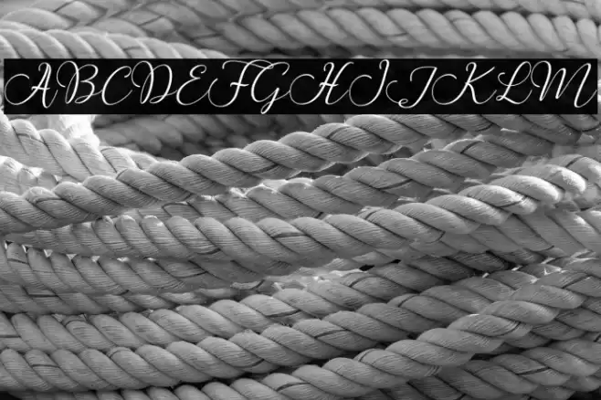 ButtercupScript Font examples