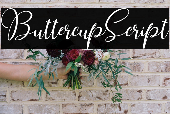 ButtercupScript Example 1