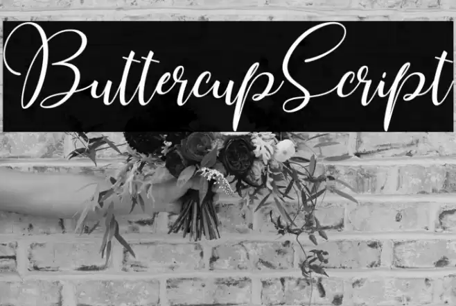 ButtercupScript Font examples