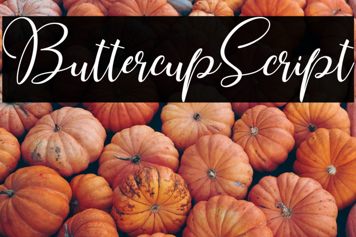 ButtercupScript Example 2
