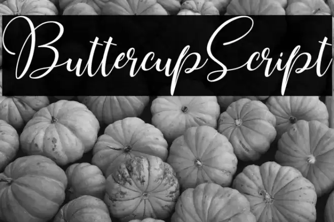 ButtercupScript Font examples