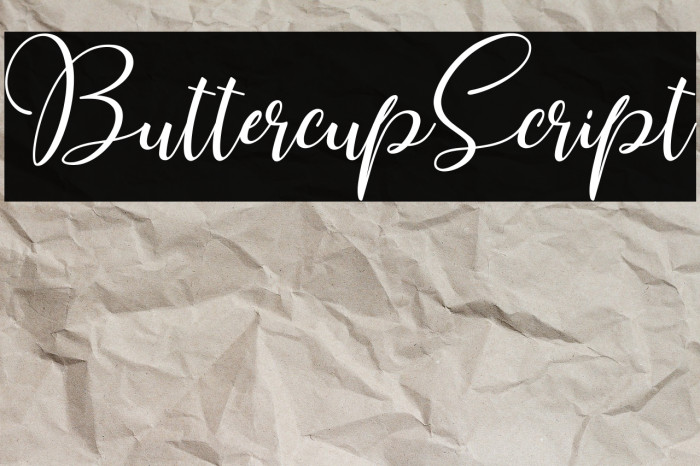 ButtercupScript Example 3