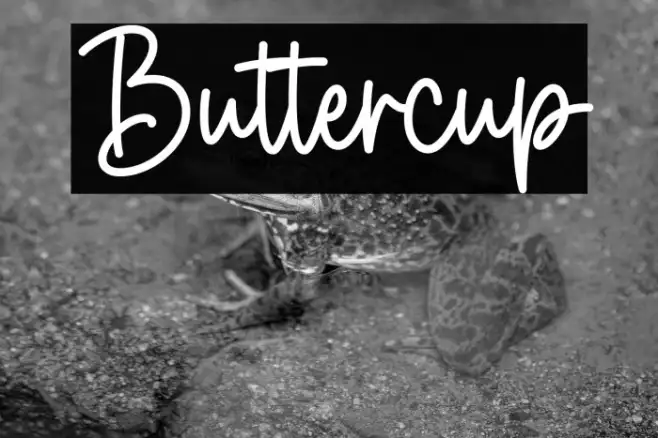Buttercup Example 2
