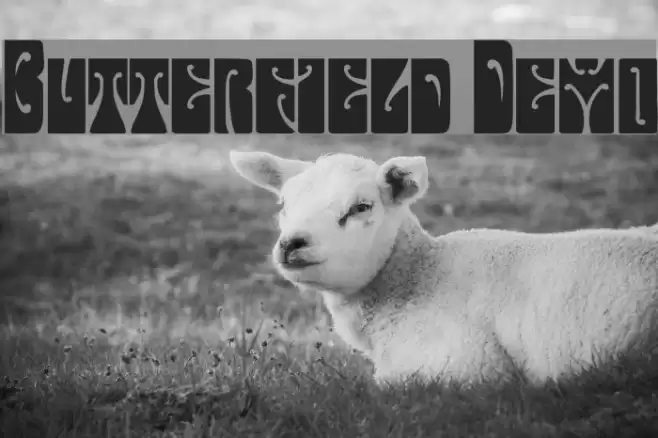 Butterfield Demo Font examples