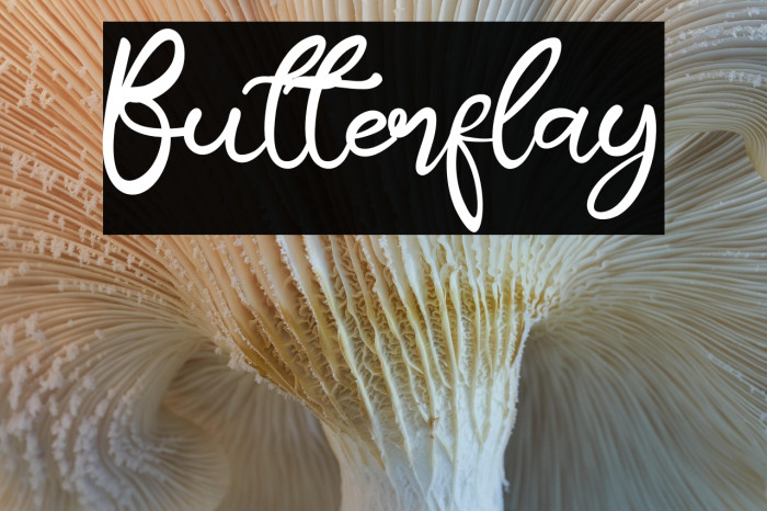 Butterflay Example 1