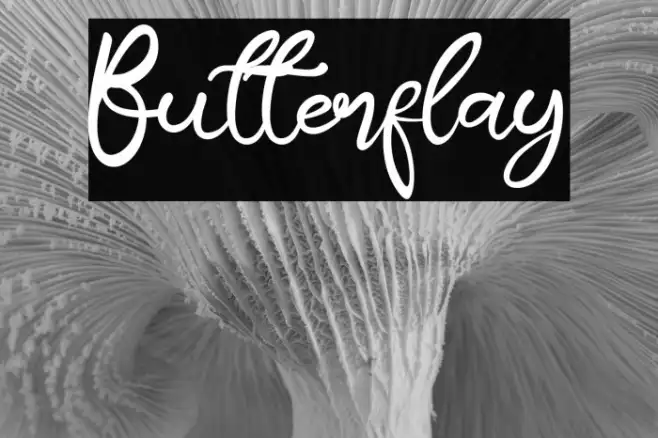Butterflay Example 1