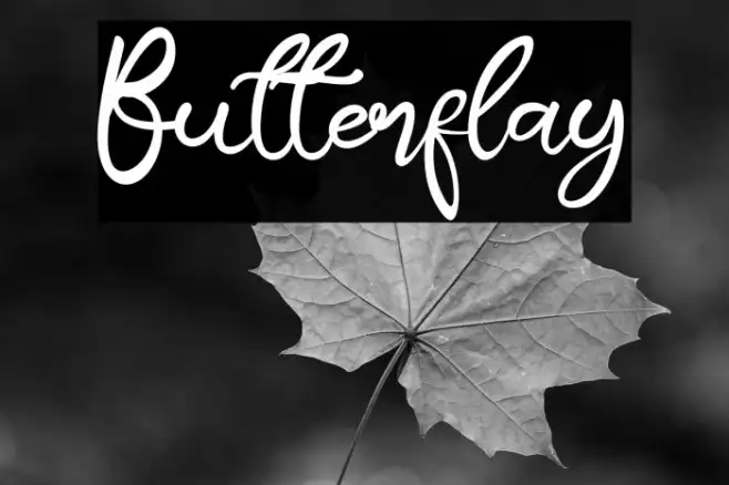 Butterflay Example 2