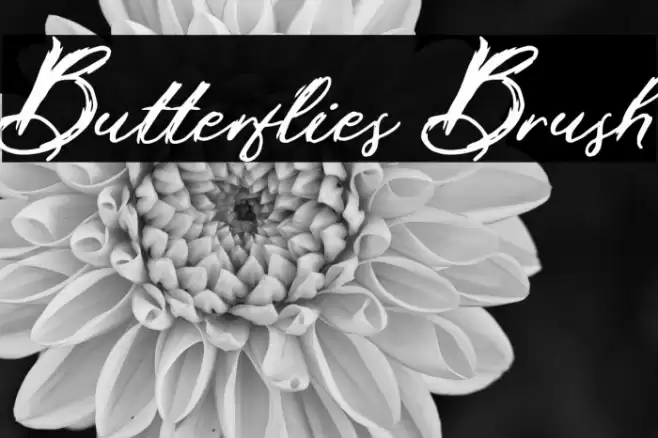 Butterflies Brush Font examples