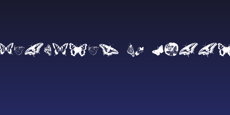 Butterflies by Darrian Social Header