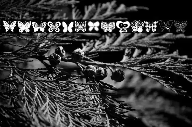 Butterflies Example 1