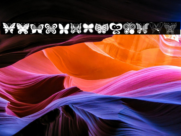 Butterflies Example 2