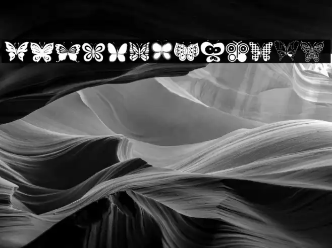 Butterflies Example 2